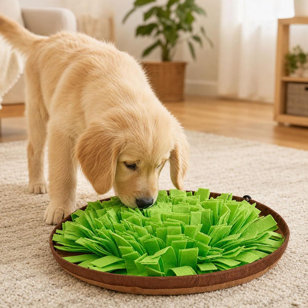 Dog Snuffle Mat Interactive Fe - Dog Puzzle Feeder Toy 评论和价格