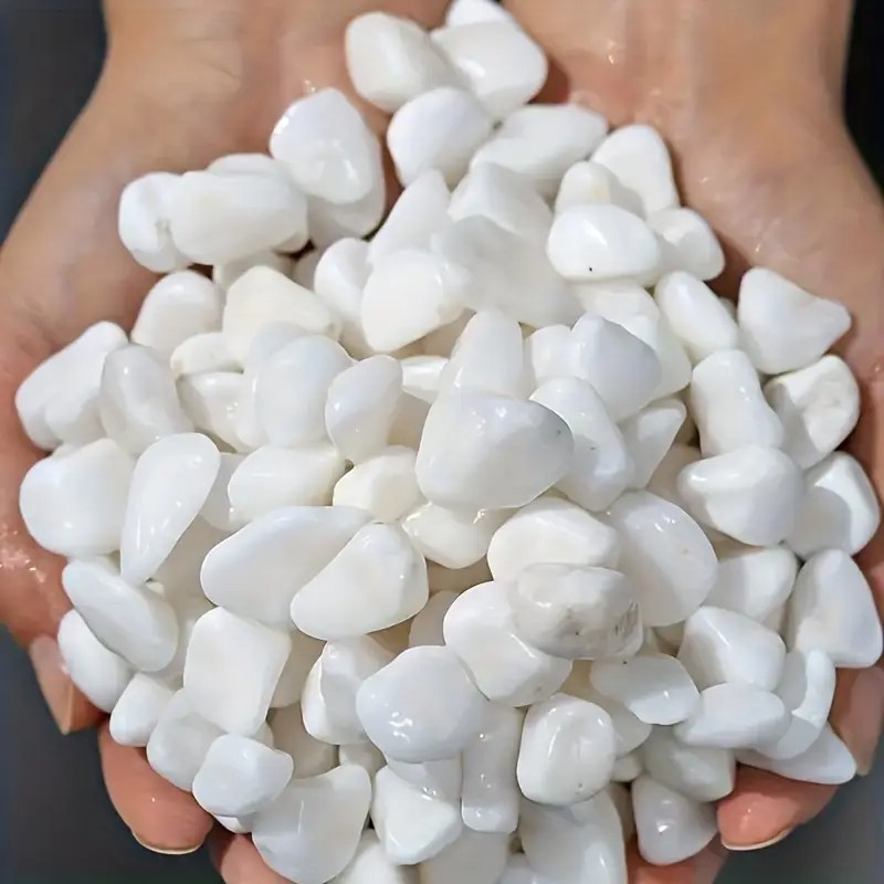 1L High-Quality Perlite Succul - Pet Beds 评论和价格