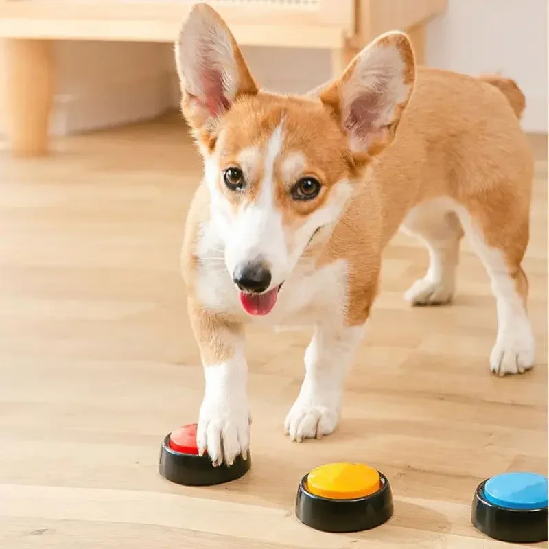 2026 Recordable Talking Pet Bu - Interactive Squeaky Plush Dog Toy 评论和价格