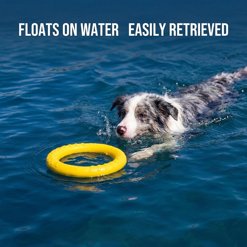 Dog Toys Pet Flying Discs EVA  - Flying Disc Dog Training Toy 评论和价格