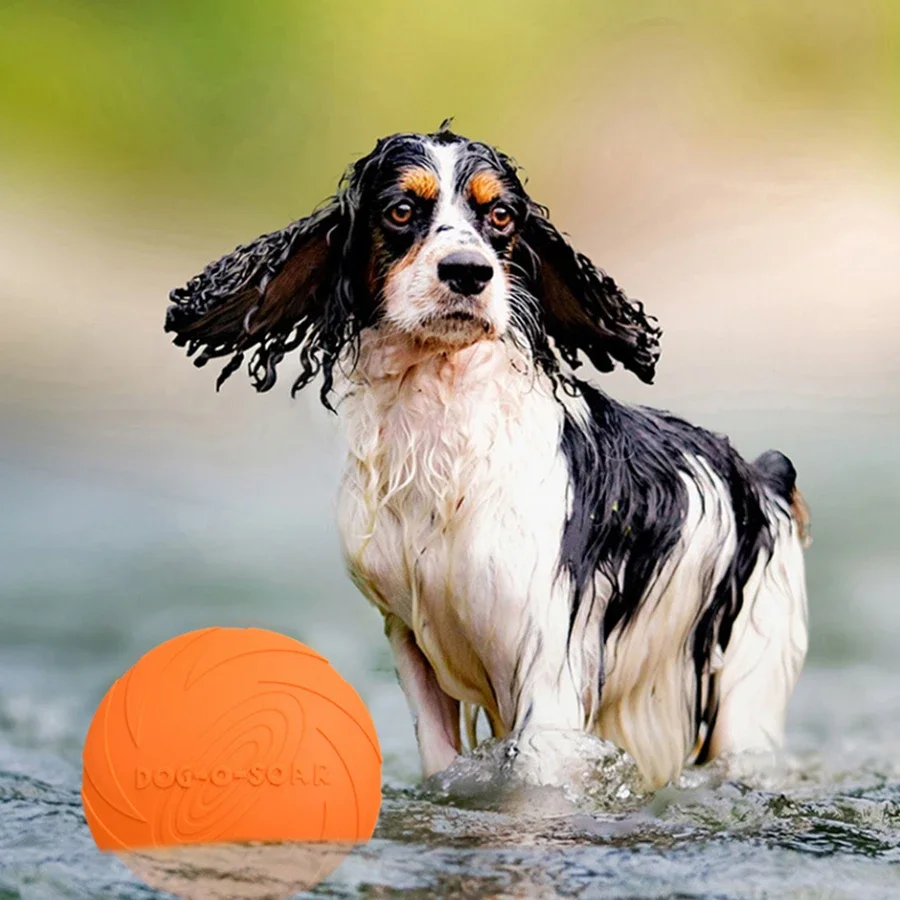 G Large Dog Golden Fur Pet Fly - Flying Disc Dog Training Toy 评论和价格