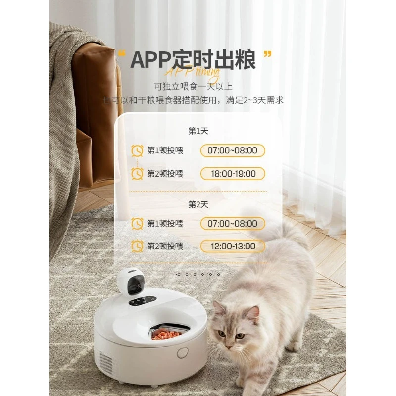 Smart Auto Cat Wet Food Feeder - Pet Feeders 评论和价格