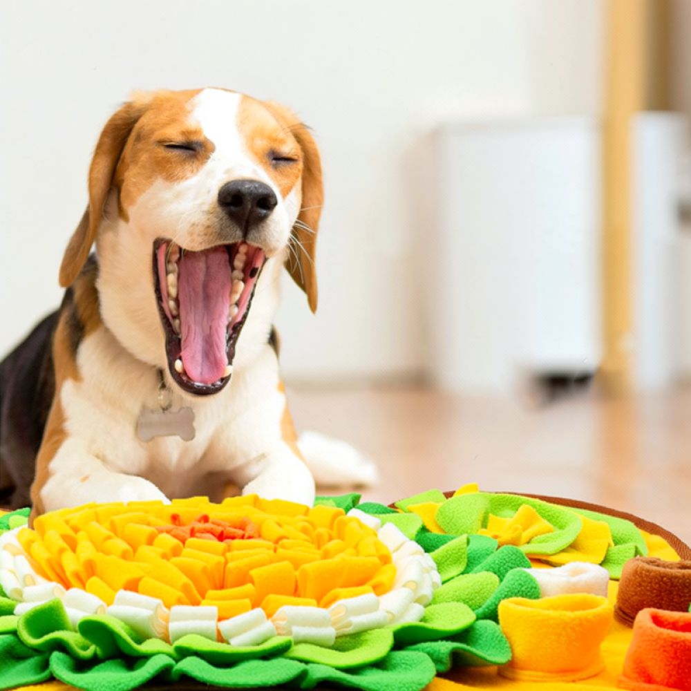 Dog Snuffle Mat Bone Design Pe - Dog Puzzle Feeder Toy 评论和价格