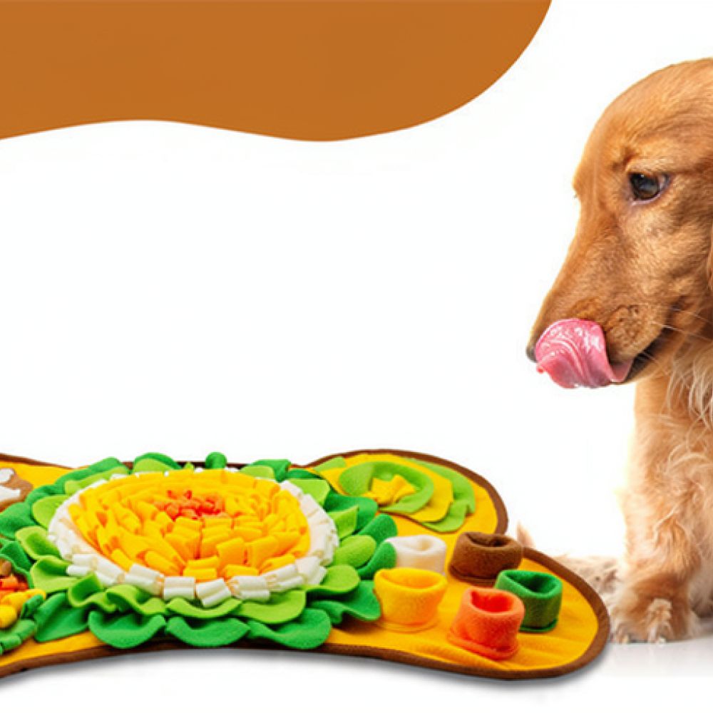 Dog Snuffle Mat Bone Design Pe - Dog Puzzle Feeder Toy 评论和价格