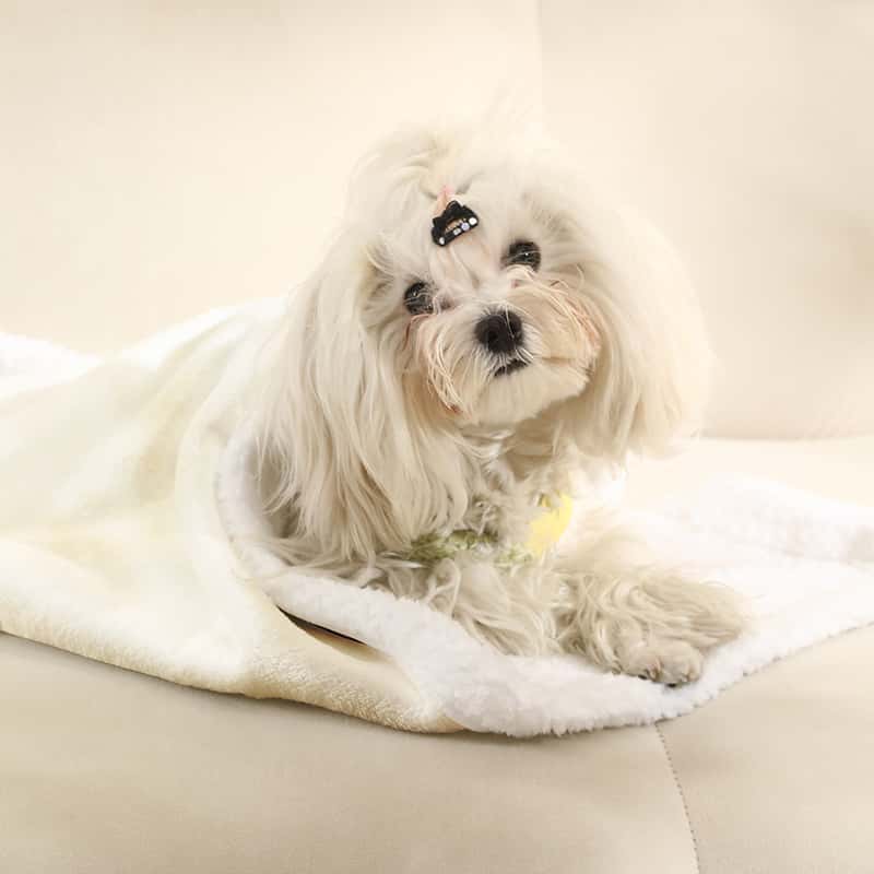 Giraffe Print Pet Blanket Soft - Pet Beds 评论和价格